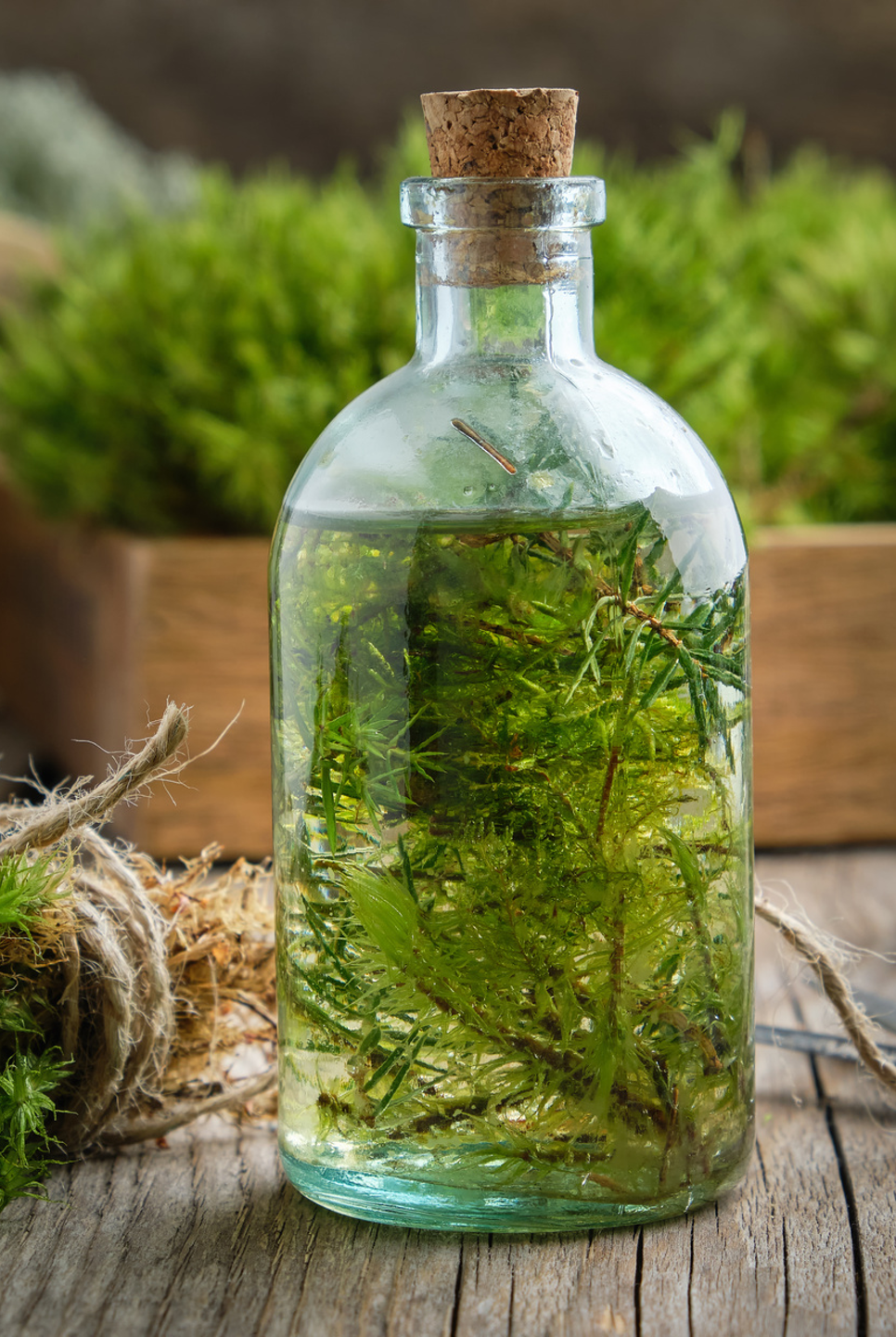 Stéphanie en Naturopathe